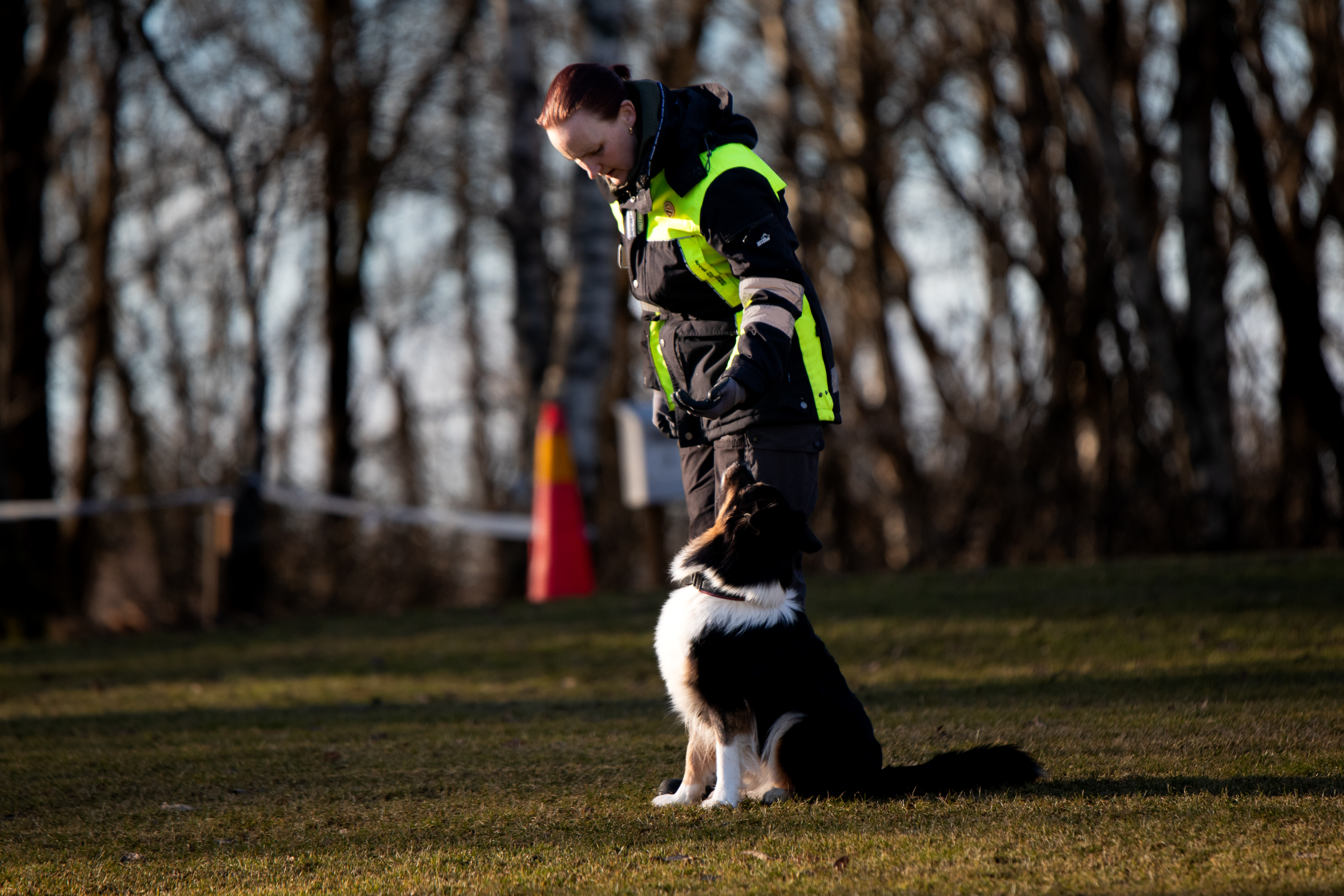 Hund som sitter bredvid sin förare