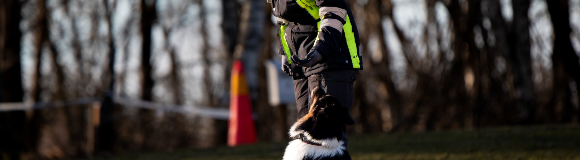 Hund som sitter bredvid sin förare