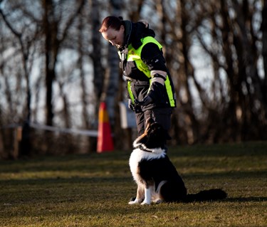 Hund som sitter bredvid sin förare