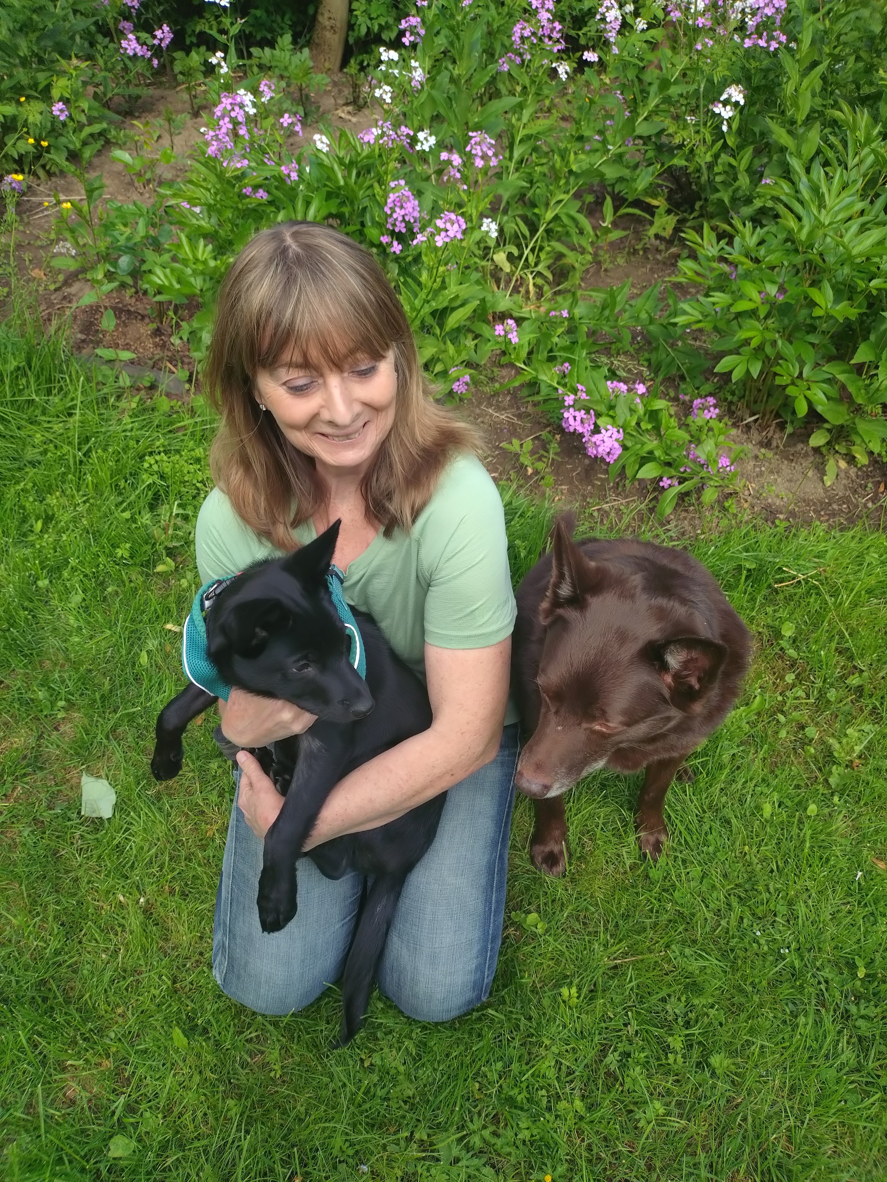 Bild på Carola Svenningsson med hennes hundar