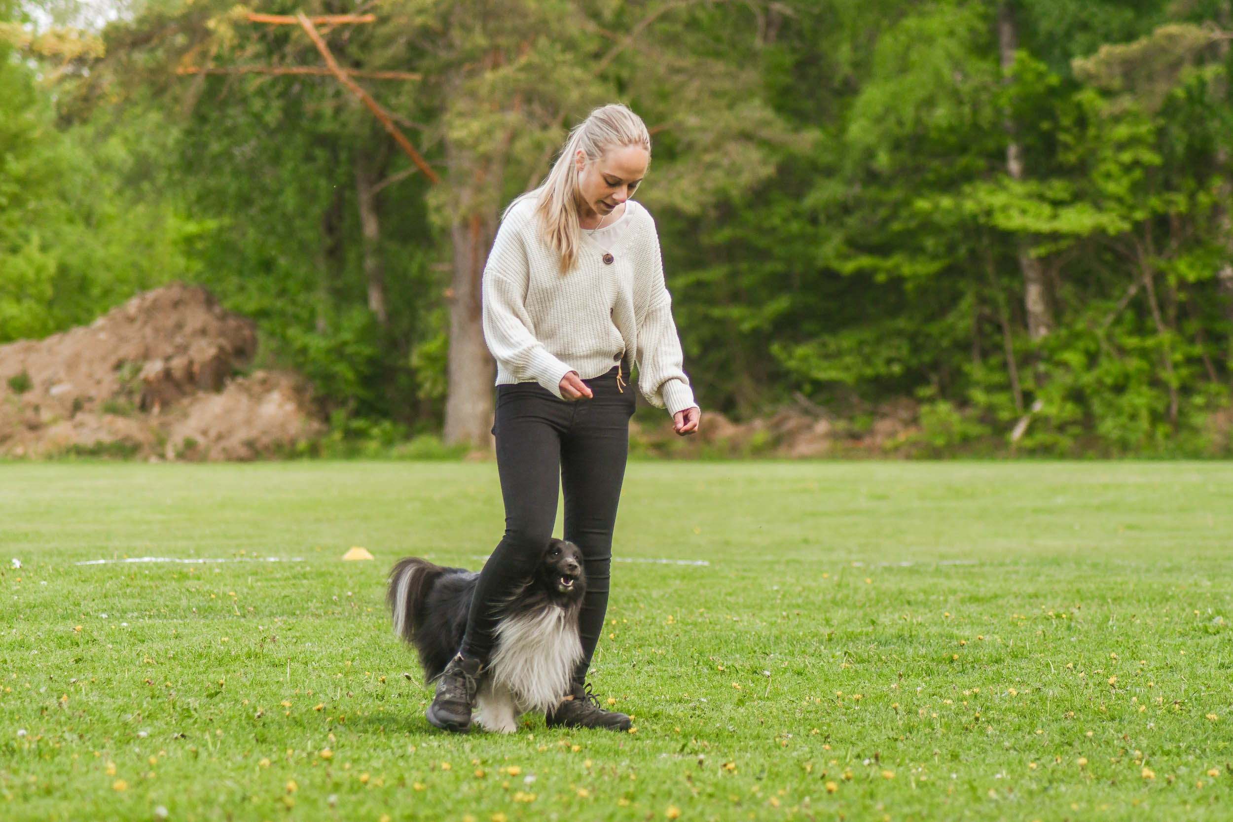 Årets Hund 2024 - Årets Nybörjare Freestyle