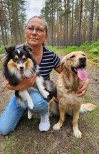 Utbildningssektorn (1)