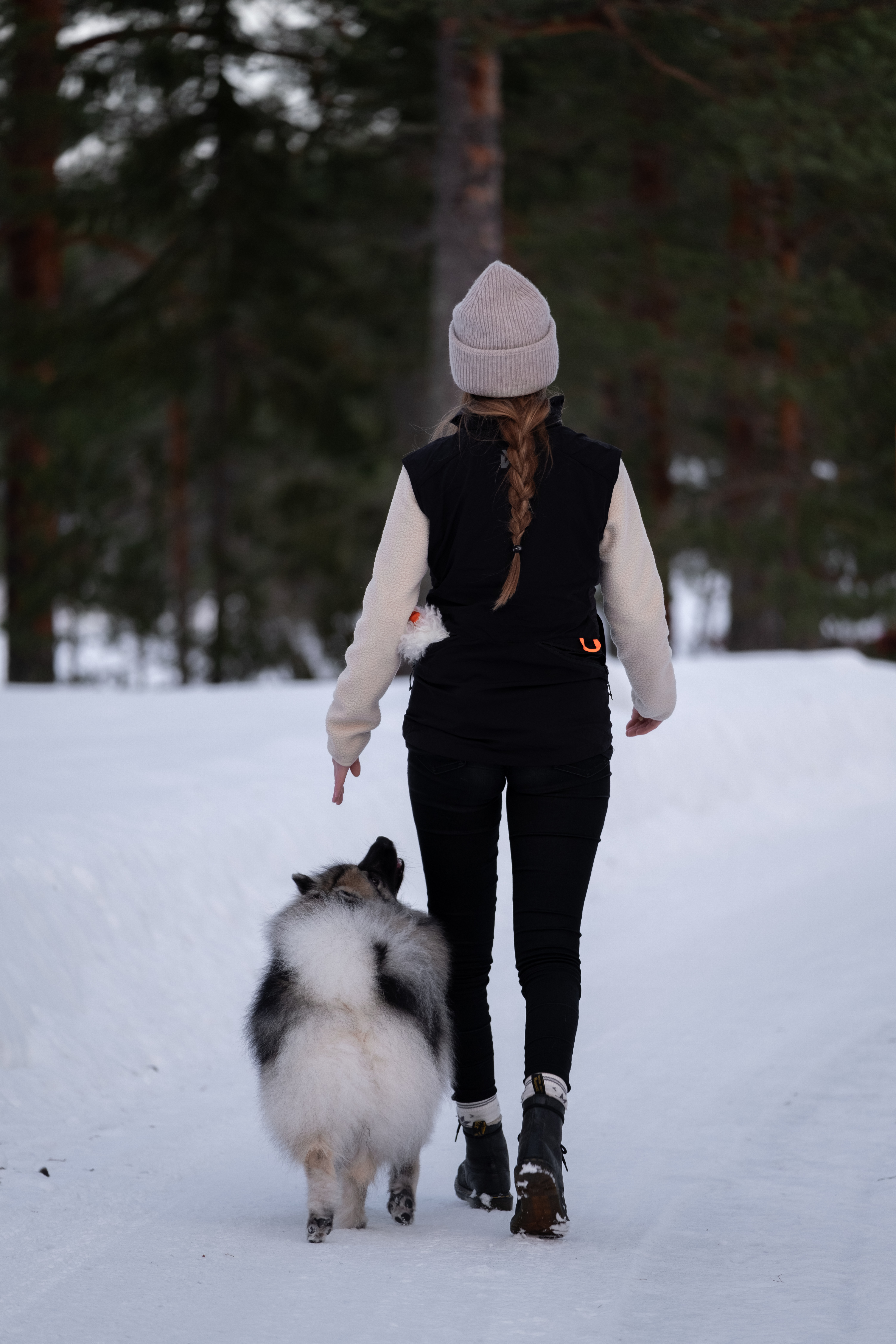 Medelspets i rallylydnad