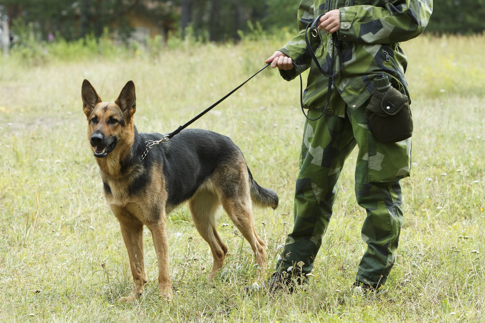 Fotograf: Magnus Fröderberg