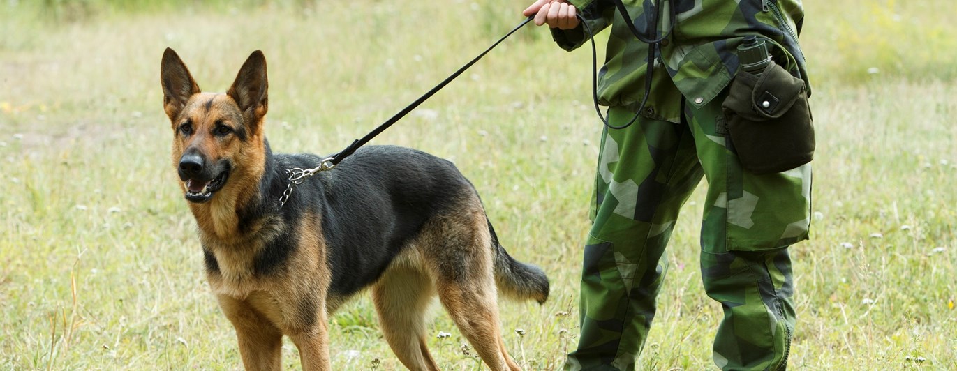 Fotograf: Magnus Fröderberg