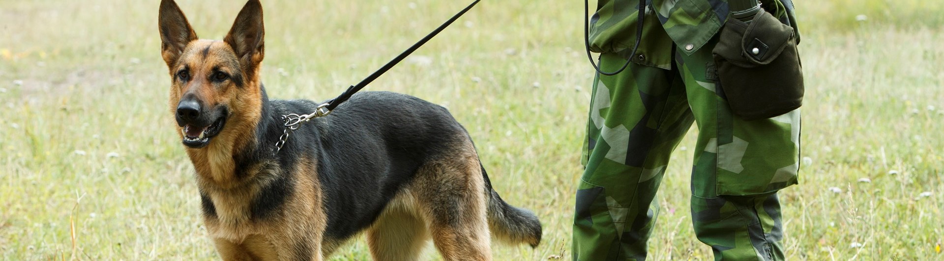 Fotograf: Magnus Fröderberg