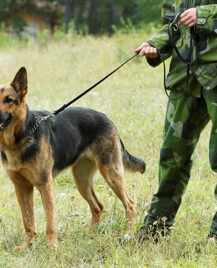 Fotograf: Magnus Fröderberg