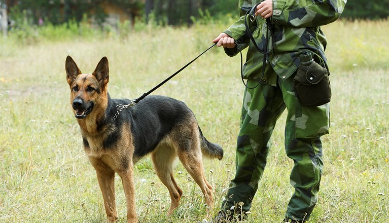 Fotograf: Magnus Fröderberg