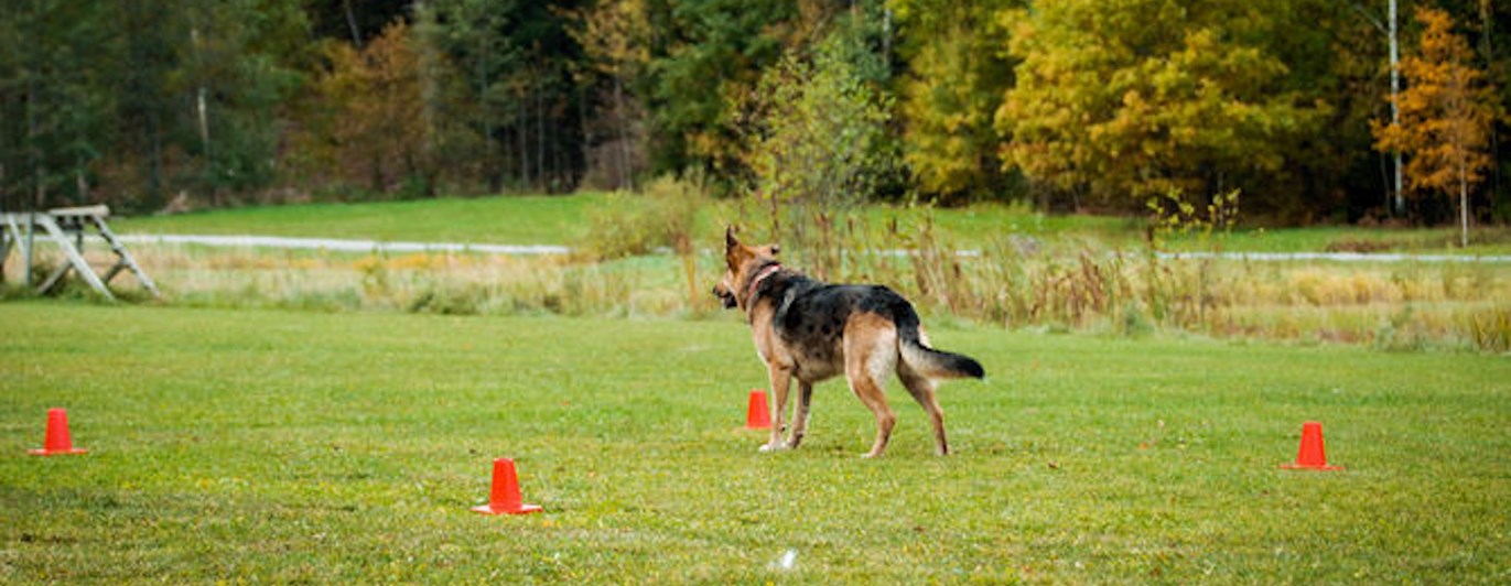 Foto: Julia Indergand