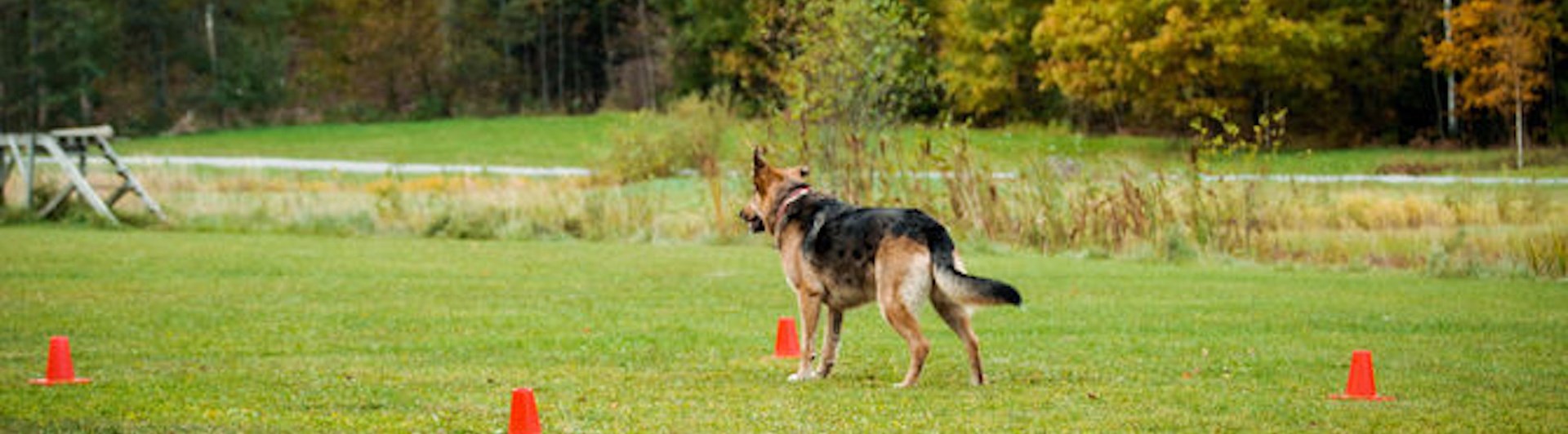 Foto: Julia Indergand