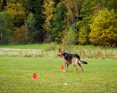 Foto: Julia Indergand