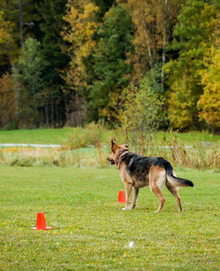 Foto: Julia Indergand