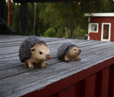Två små prydnadsigelkottar på altan