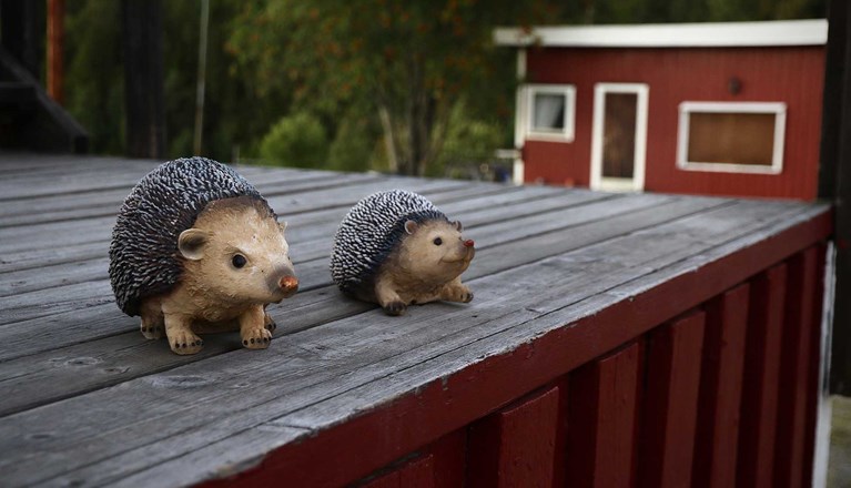 Två små prydnadsigelkottar på altan