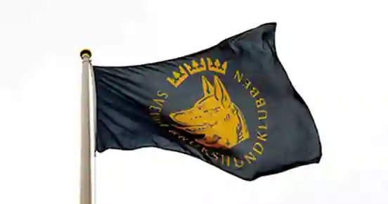 Flagga SBK