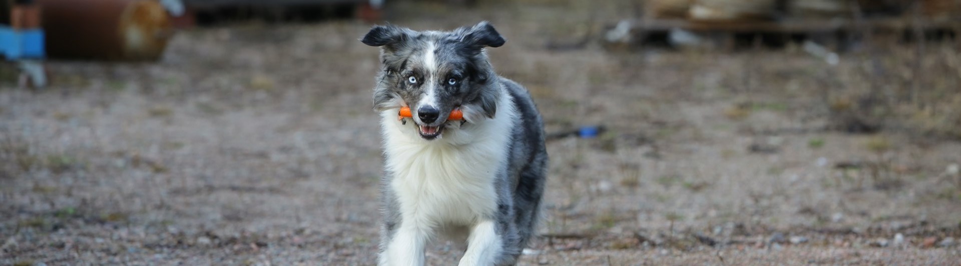 Fotograf: Christian Björses