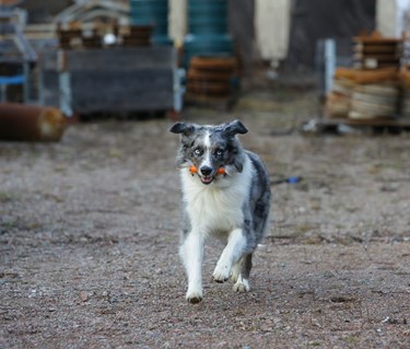 Fotograf: Christian Björses