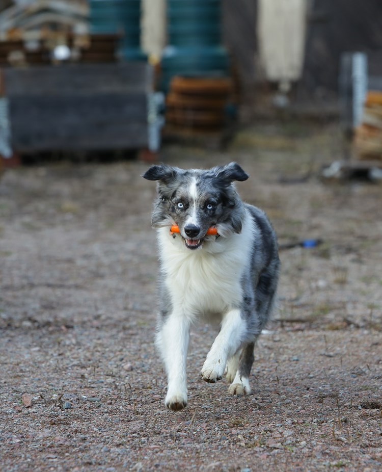 Fotograf: Christian Björses