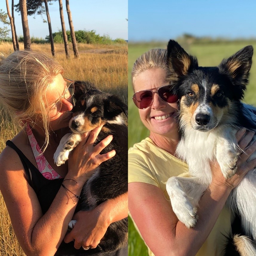 Lotta Mårtensson med hundar