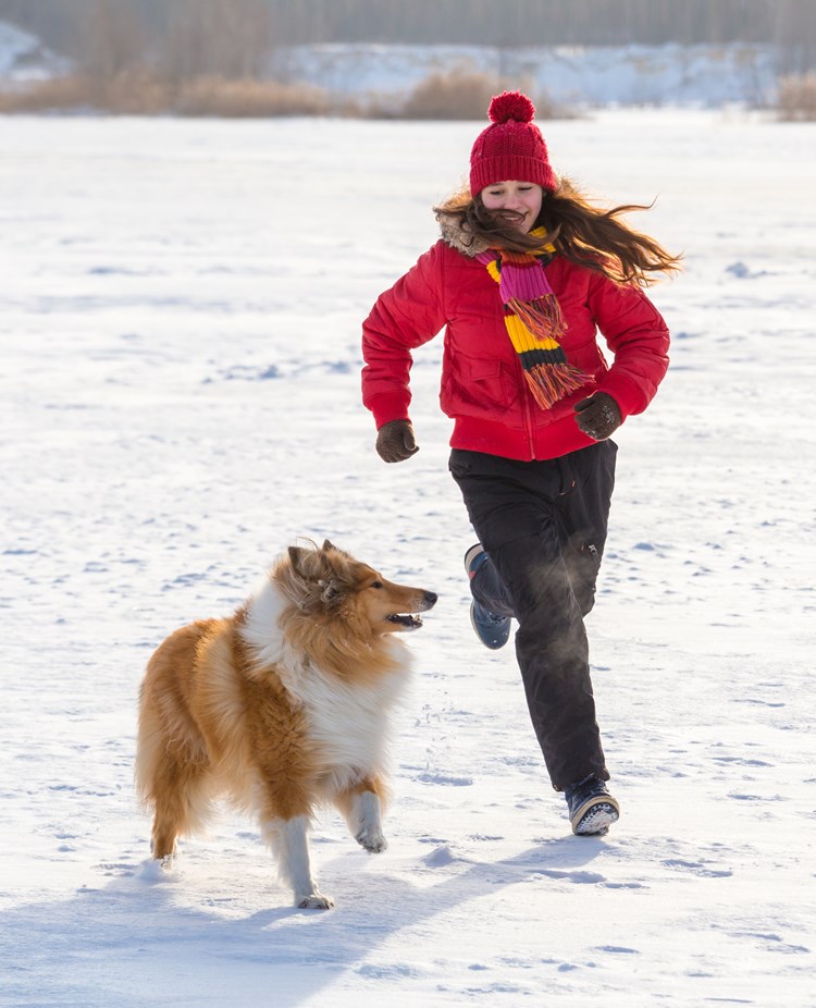 Kvinna och collie springer i snön
