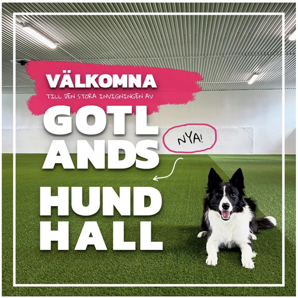 Välkomna till Gotlands nya hundhall