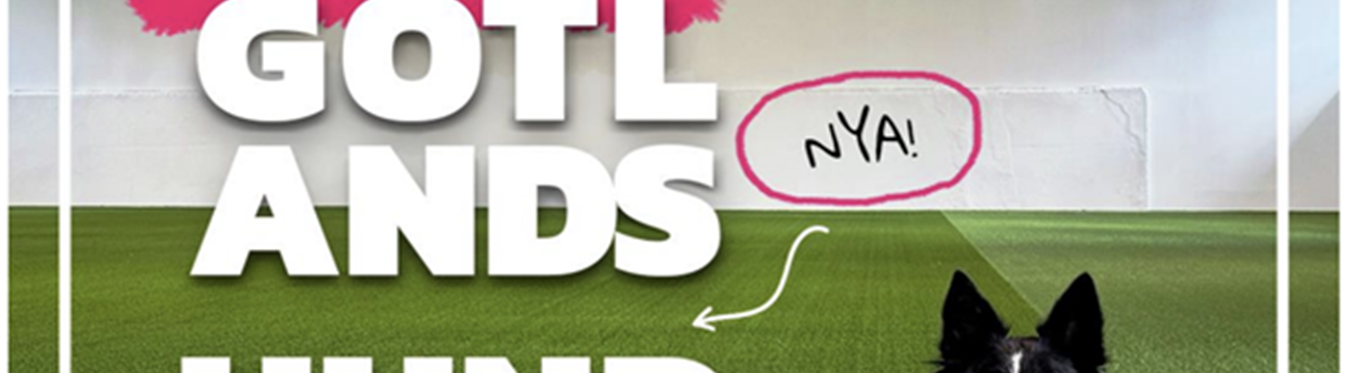 Välkomna till Gotlands nya hundhall