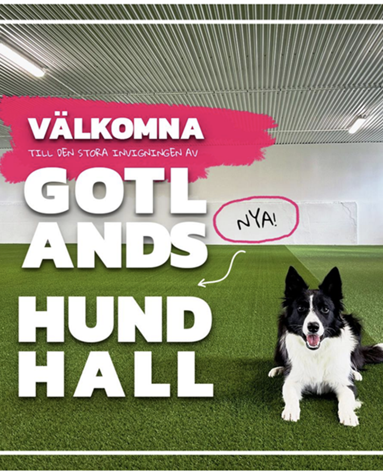 Välkomna till Gotlands nya hundhall