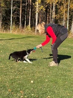 Cilla och Ruff