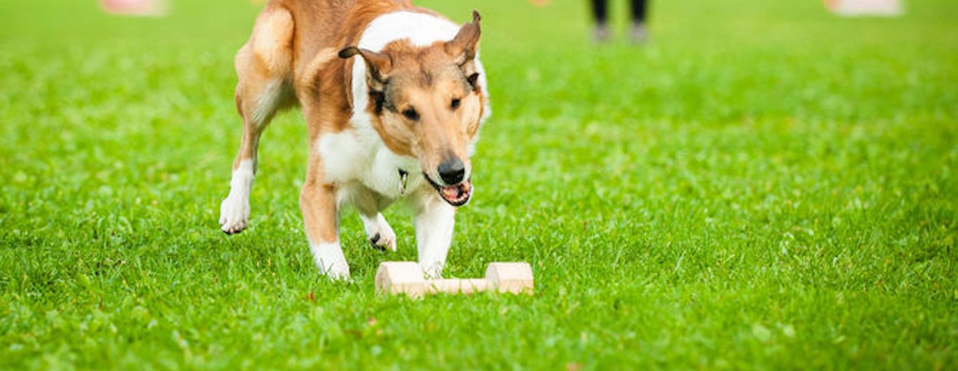 Foto: Julia Indergand