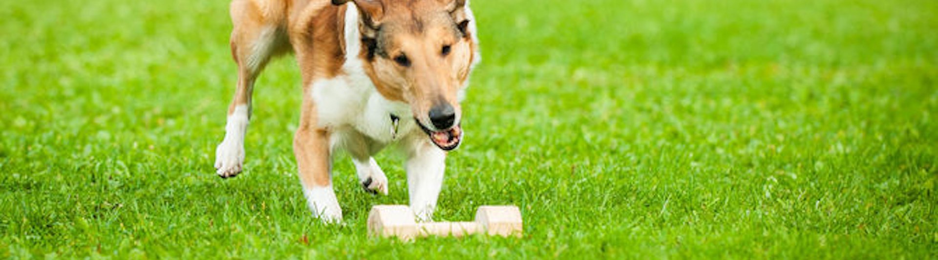 Foto: Julia Indergand