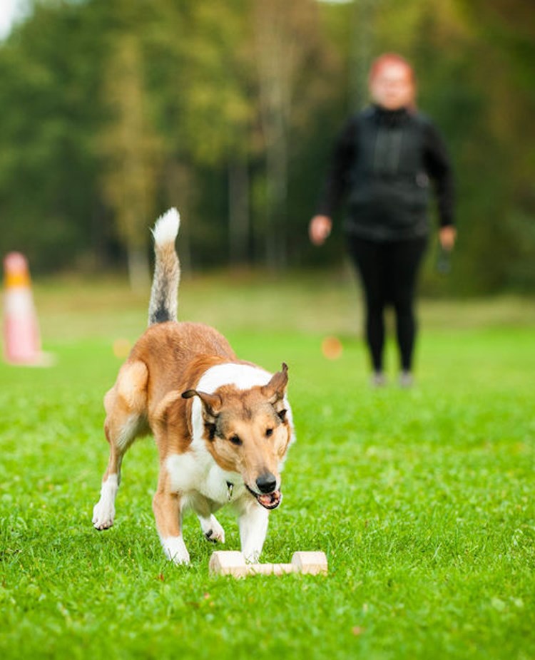 Foto: Julia Indergand