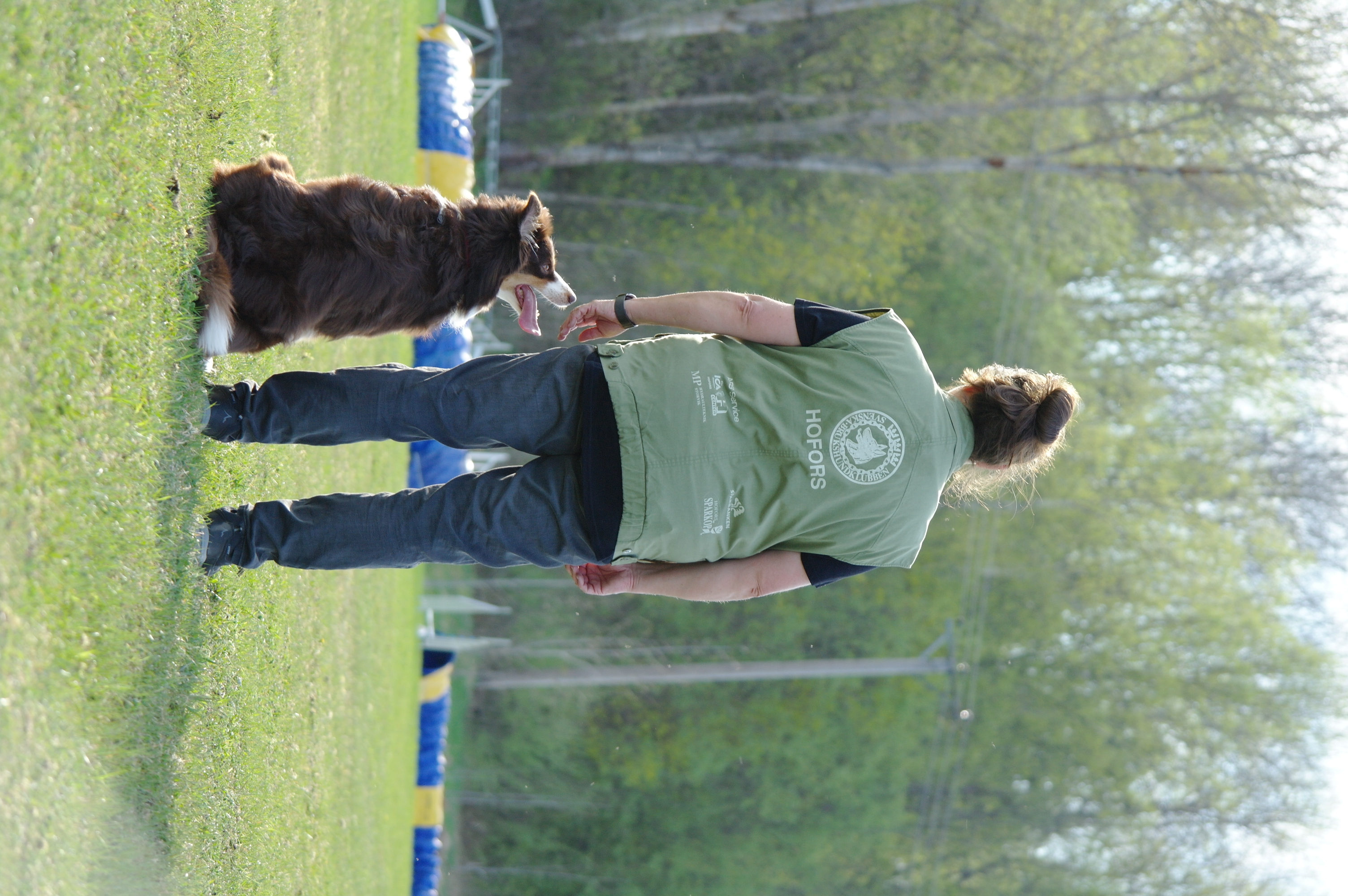Hund och förare på lydnadsplanen