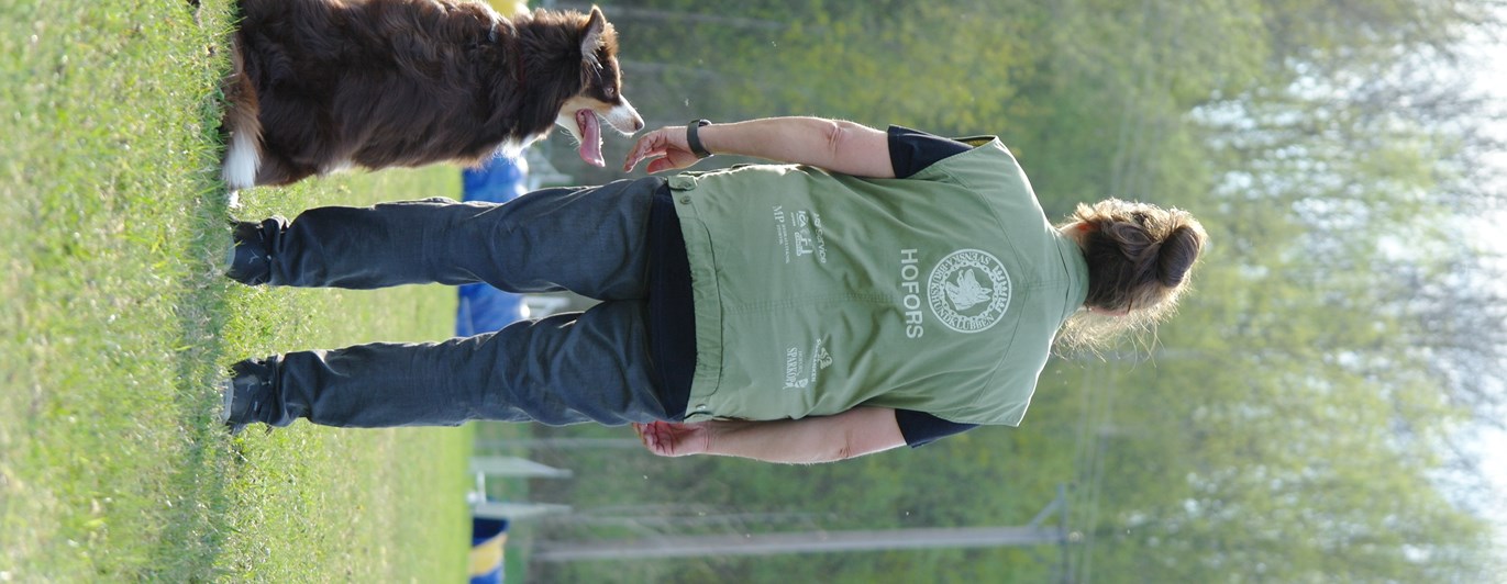 Hund och förare på lydnadsplanen