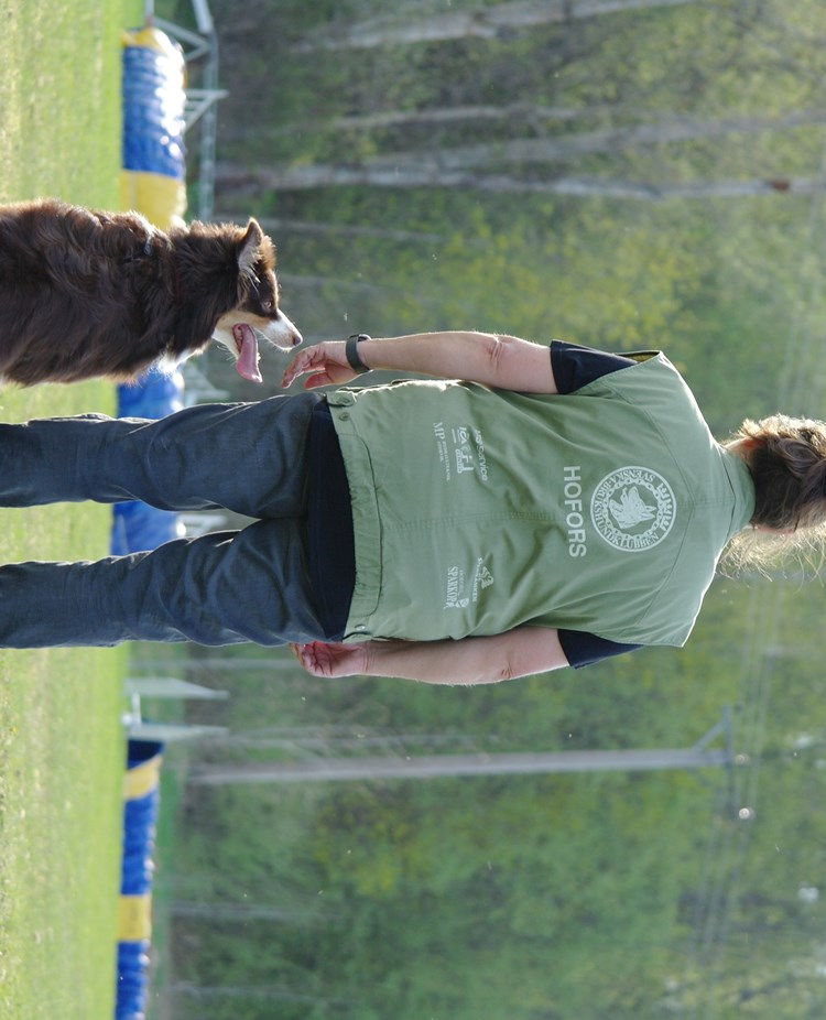 Hund och förare på lydnadsplanen