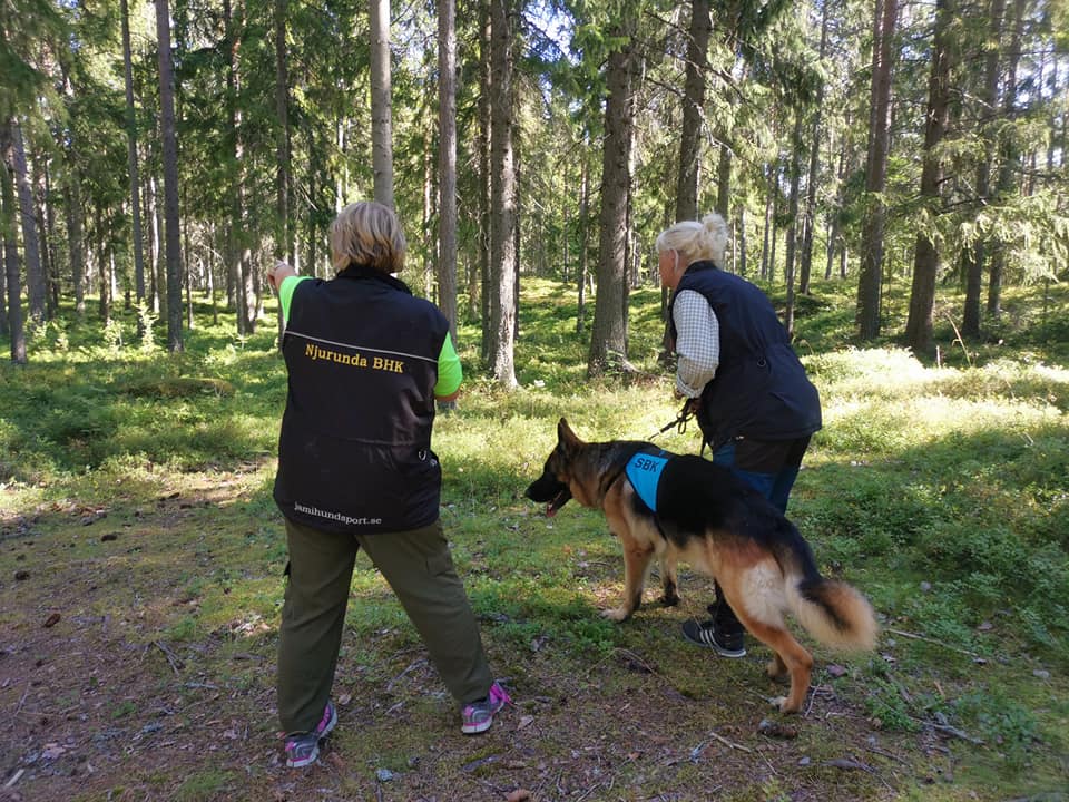 Uppletande Bruksprov