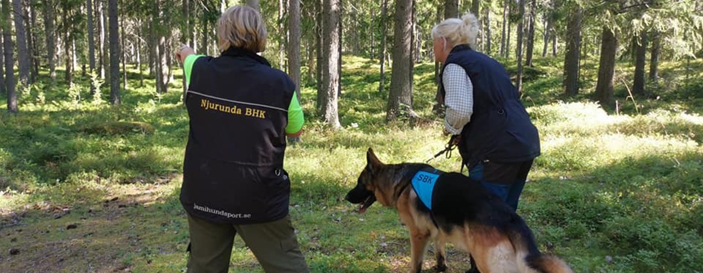 Uppletande Bruksprov