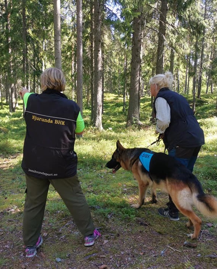 Uppletande Bruksprov