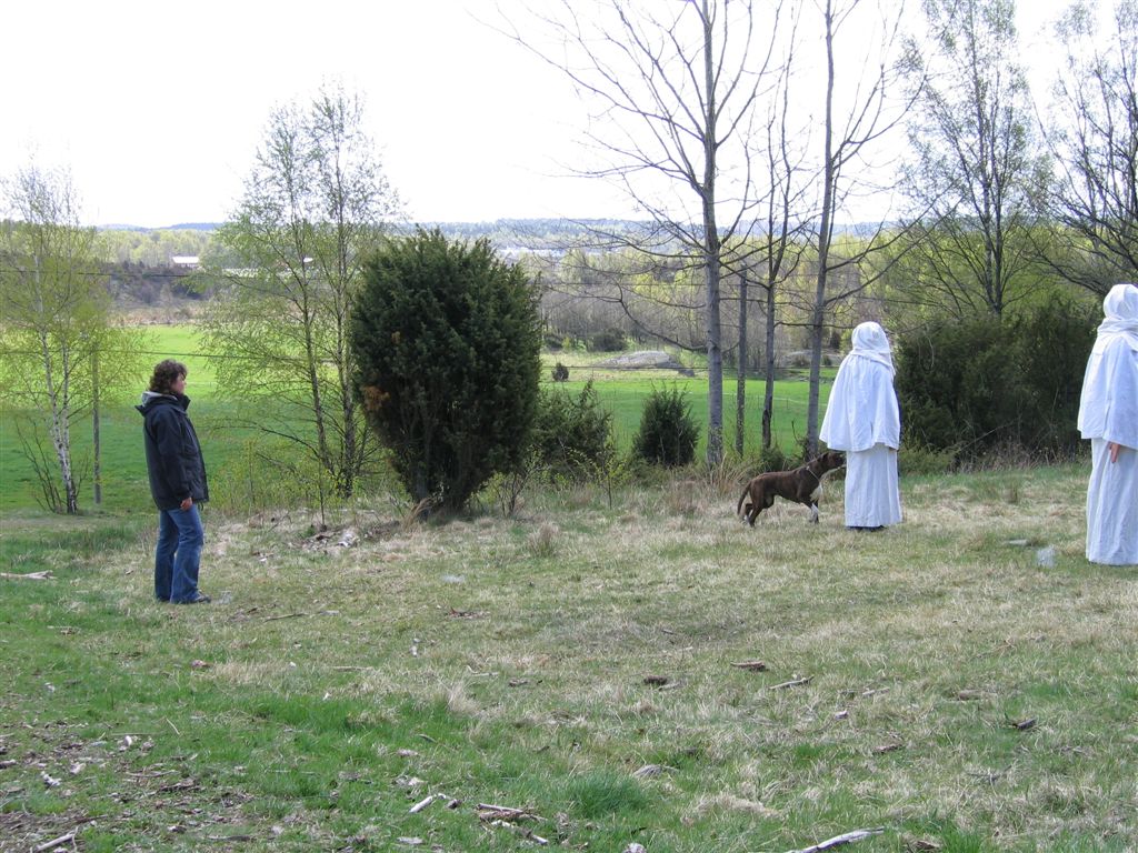 Figuranter MH spöken