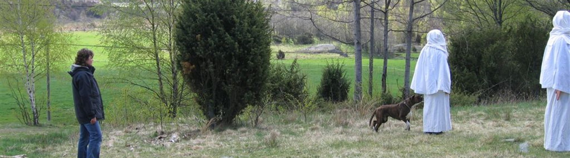 Figuranter MH spöken