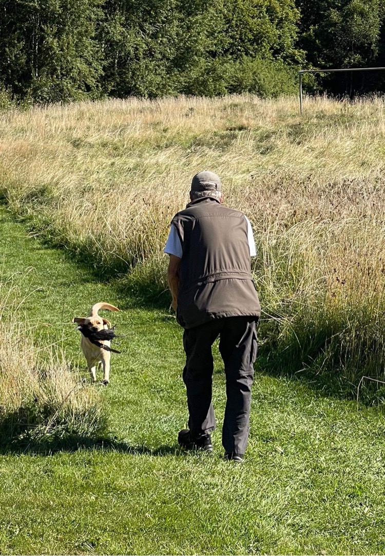 En hundförare som tränar jaktapportering med sin hund.