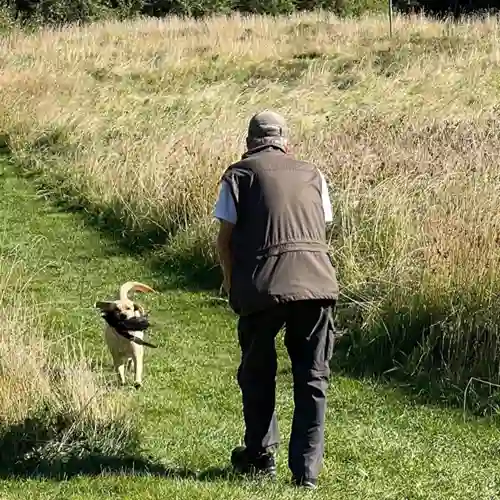 En hundförare som tränar jaktapportering med sin hund.