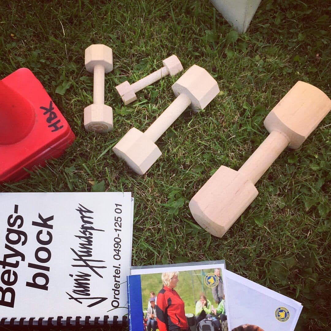 Lydnadstävling attiraljer