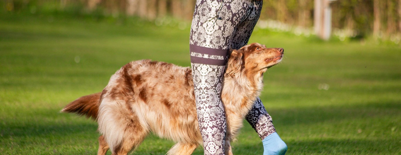 Ljusbrun hund går mellan sin människas ben.