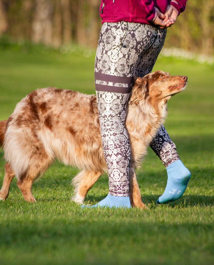 Ljusbrun hund går mellan sin människas ben.