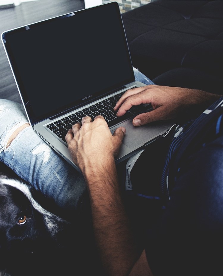 En man som sitter vid datorn med en hund bredvid sig