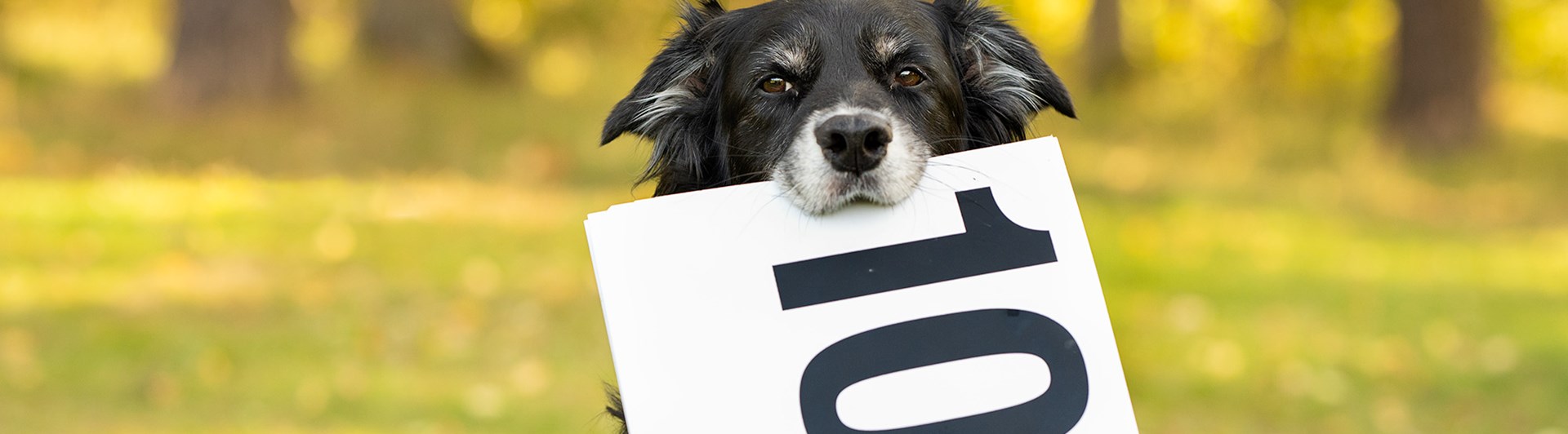 Linna visar upp en 10a