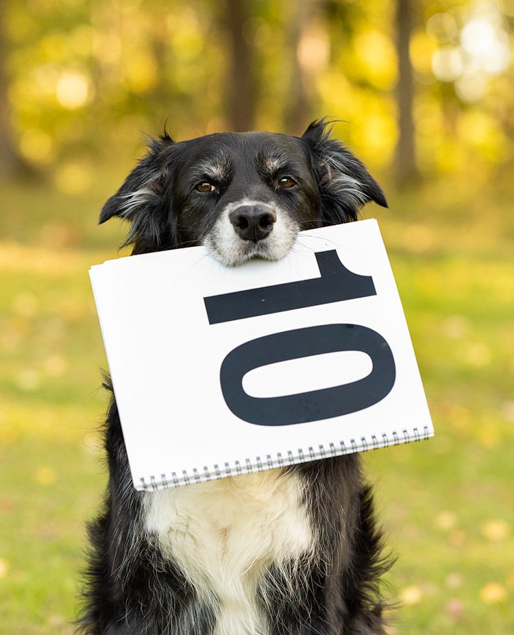 Linna visar upp en 10a