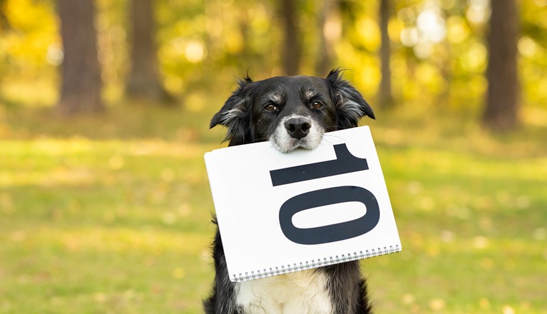 Linna visar upp en 10a