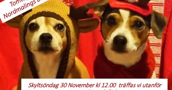 Två små hundar med julkläder samt inbjudan att vara med på tomtepromenad