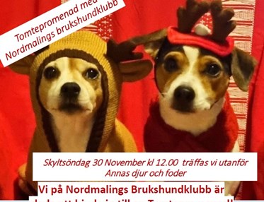 Två små hundar med julkläder samt inbjudan att vara med på tomtepromenad